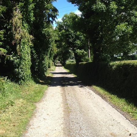 Ballindrum Farm B&B アシー エクステリア 写真