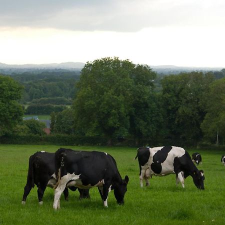 Ballindrum Farm B&B アシー エクステリア 写真