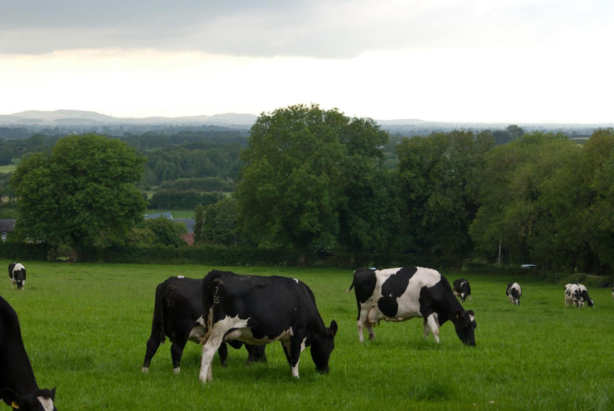 Ballindrum Farm B&B アシー エクステリア 写真
